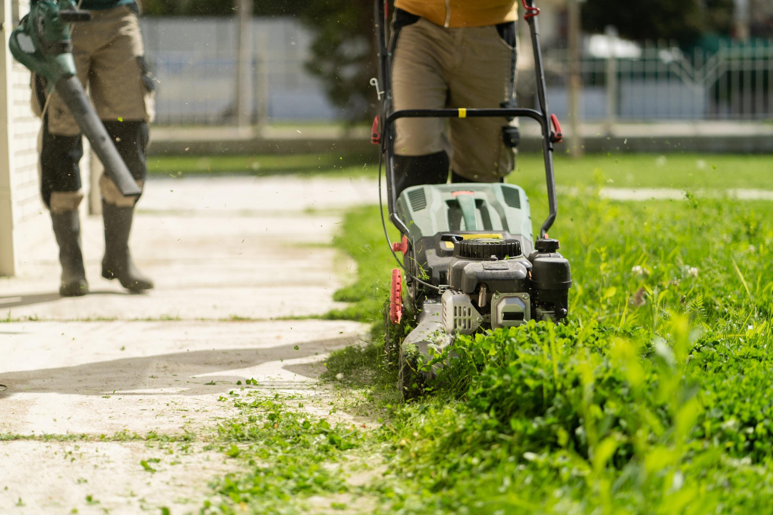 Worker mowing lawn with grass cutter while another operates a blower nearby.